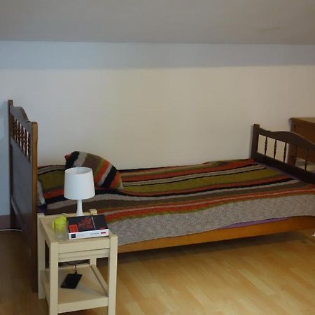 Bel Appartement Au Coeur Du Puy En Velay Le Puy-en-Velay エクステリア 写真