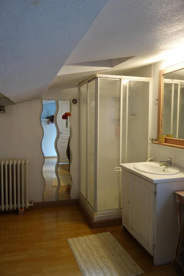 Bel Appartement Au Coeur Du Puy En Velay Le Puy-en-Velay エクステリア 写真